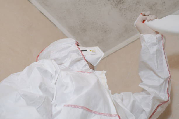 Best Certified Mold Removal  in Sa Loma, CA
